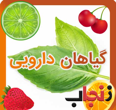 خواص دارویی میوه ها و گیاهان(همراه با زنجاب)